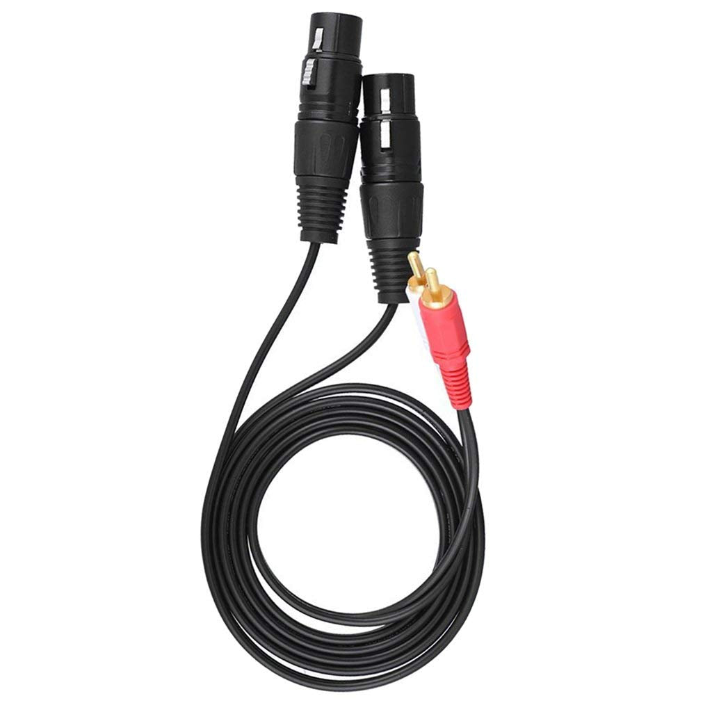 006 RAP:RCA Male To 2xXLR Male Cable 1FT