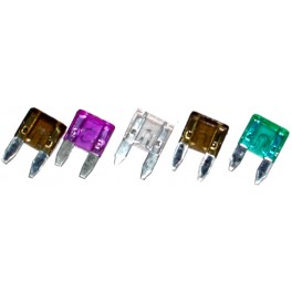 ATM-2 IPM:ATM/Mini Fuse 2A(ea)