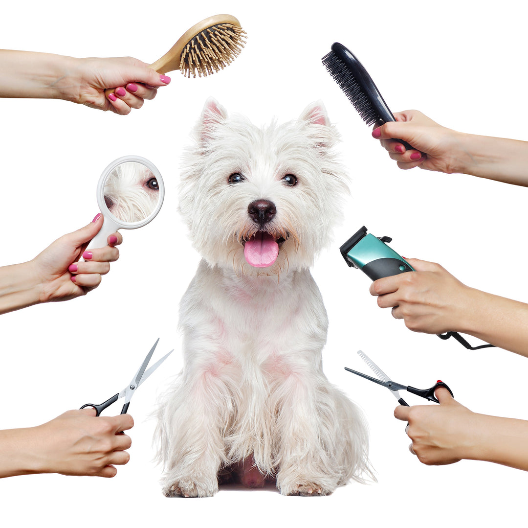 Animal / Pet Grooming Tools
