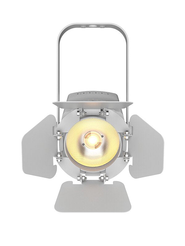 Chauvet DJ EVE-TF20X-W: White Soft Edge Accent Luminaire