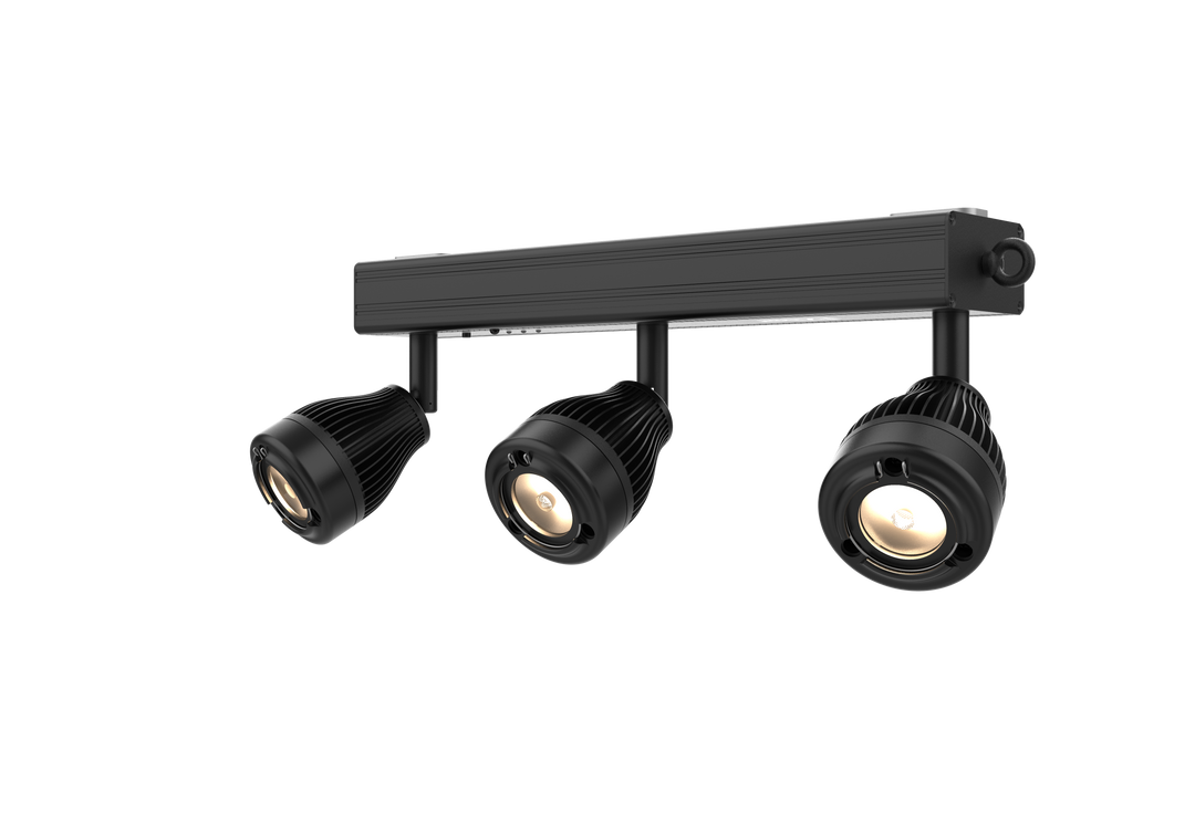 Chauvet DJ EZBAR: Battery Powered Pinspot System