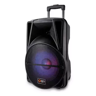 Quantum Audio QDJ12WP: Portable Speaker System (12" Woofer - 3000W Max)