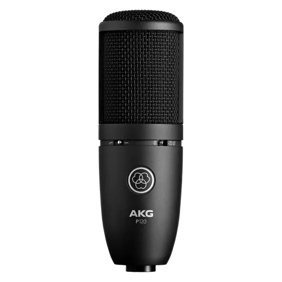 AKG P120: -MIC High-performance general purpose recording microphone
