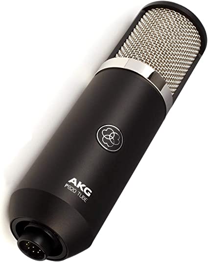 AKG Pro Audio P820: Tube Condenser Microphone, Multi-Pattern